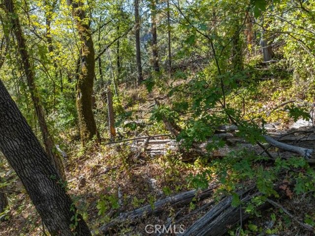 19985 Northwoods Drive
