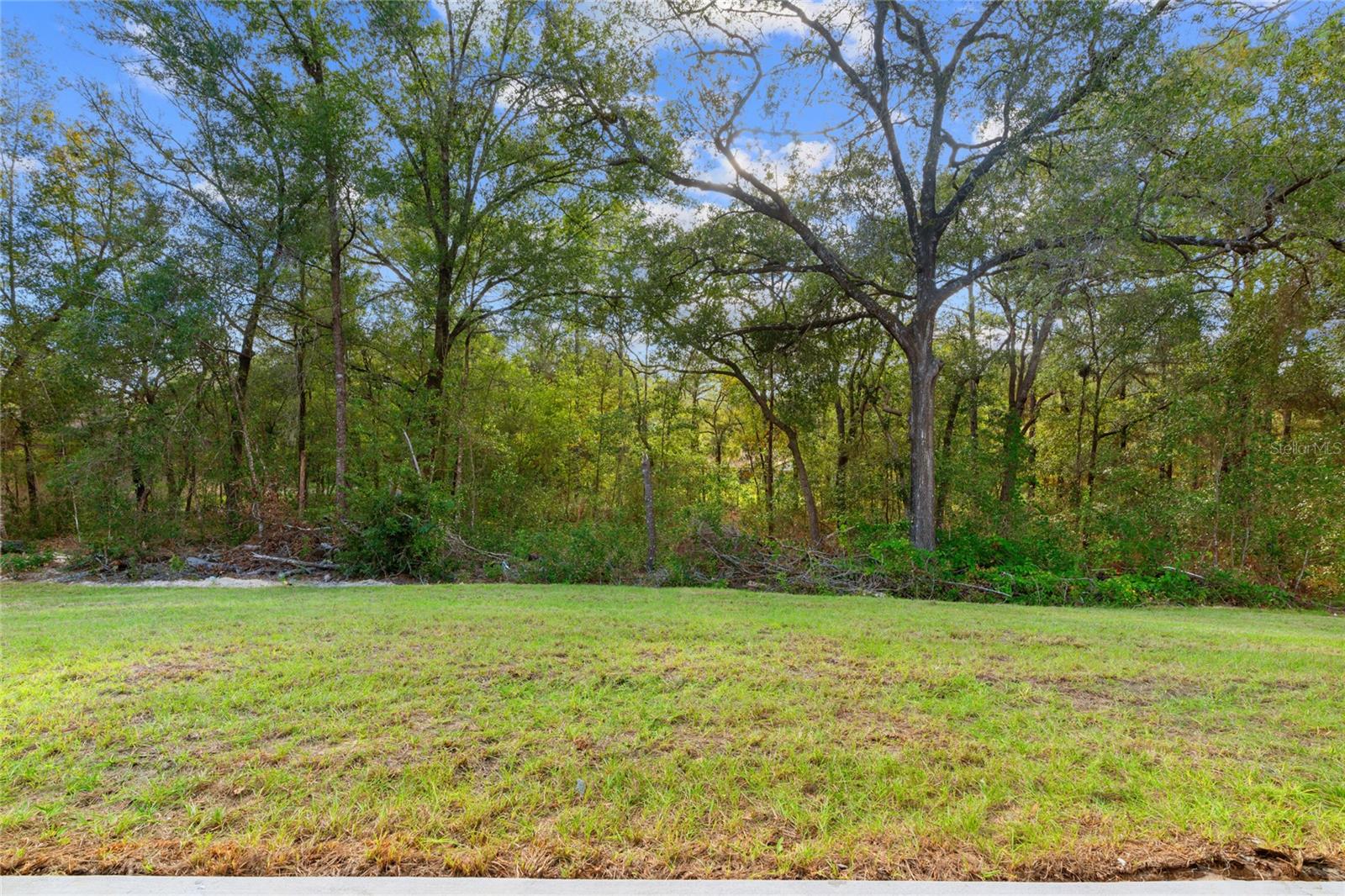 11120 N IRON DRIVE RD