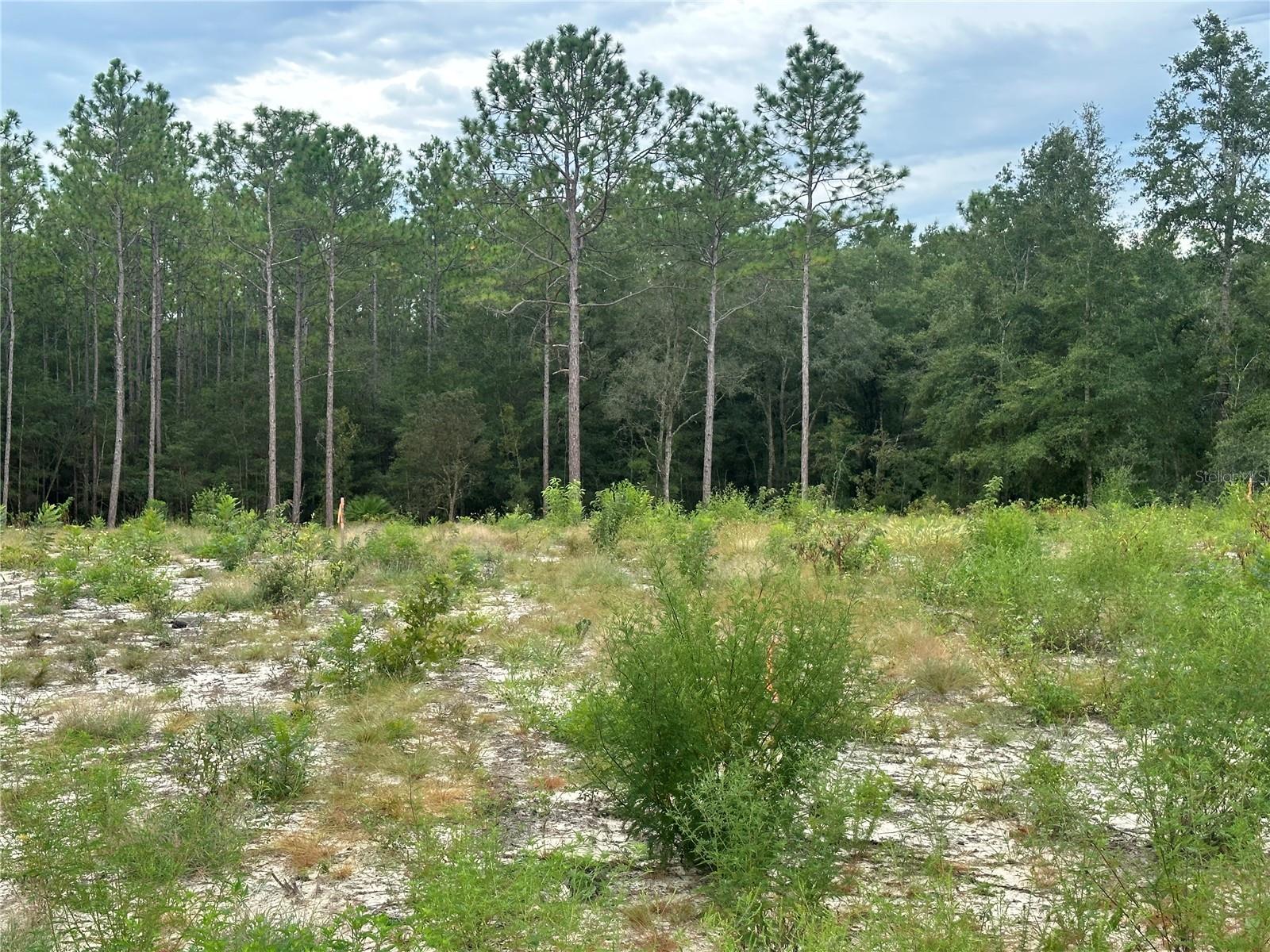 TBD SW 64TH STREET ROAD