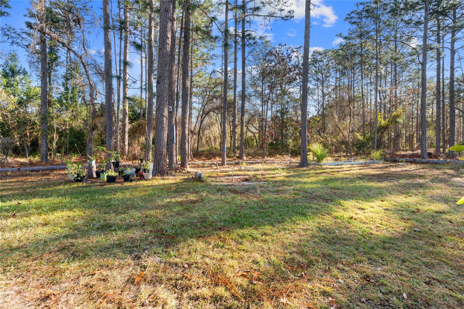 17 EUGENIA COURT NORTH