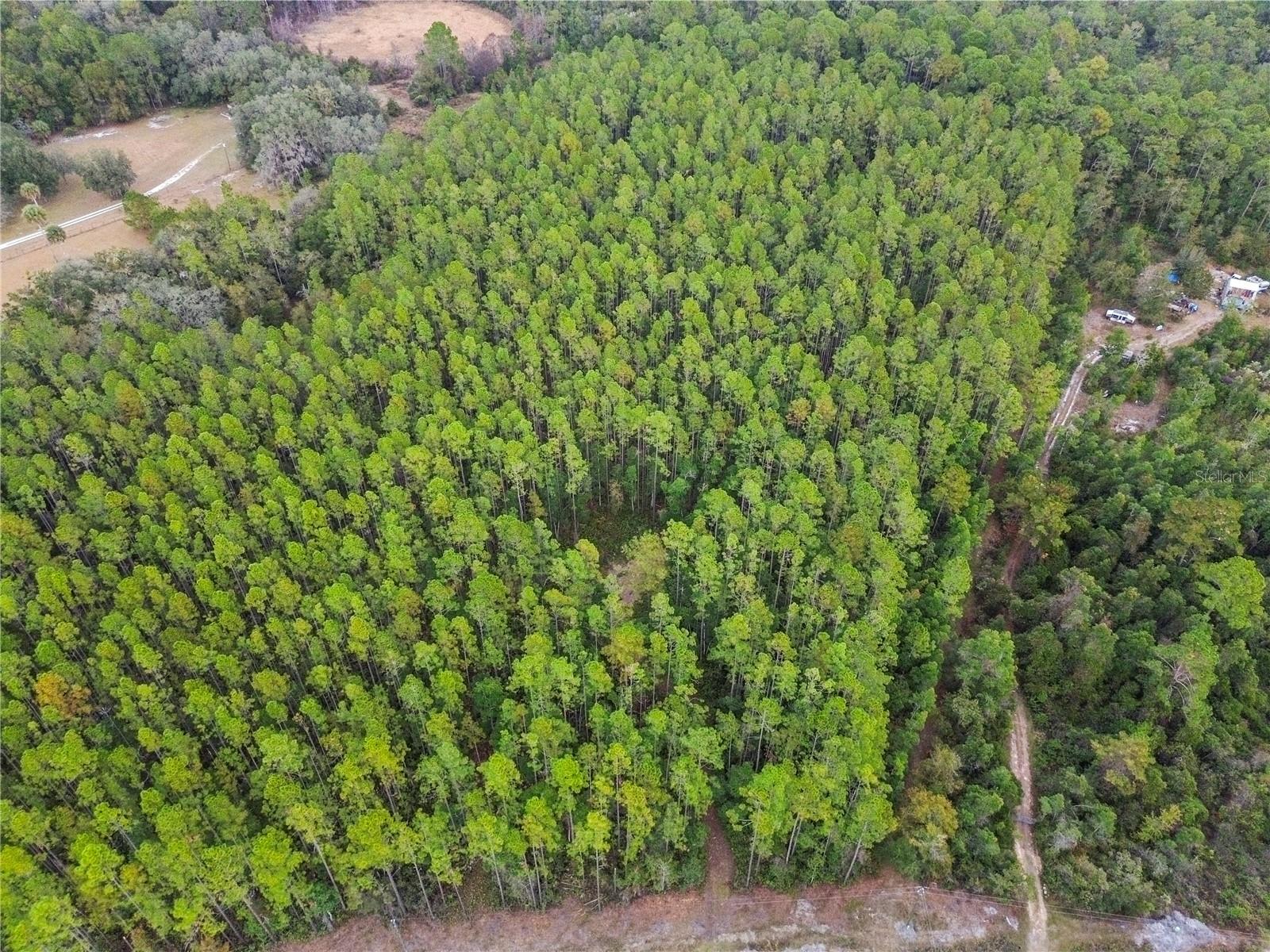 TBD NE 130TH COURT RD