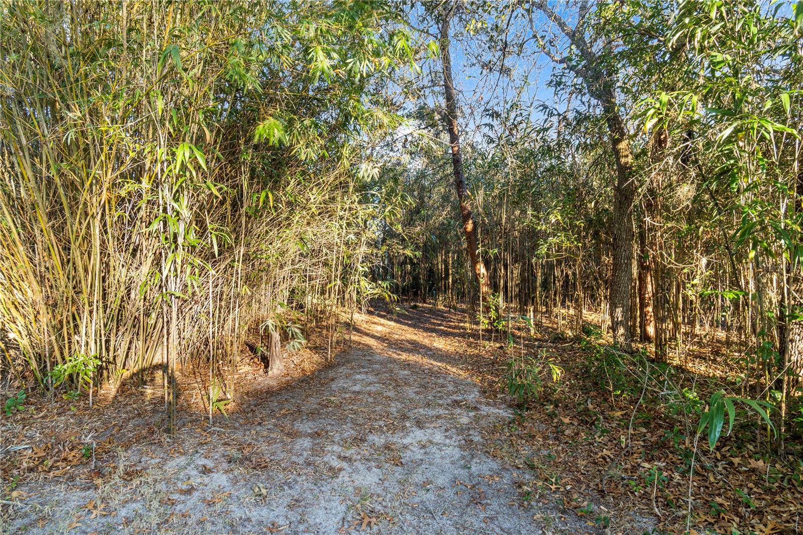 5336 SW 109TH PLACE RD