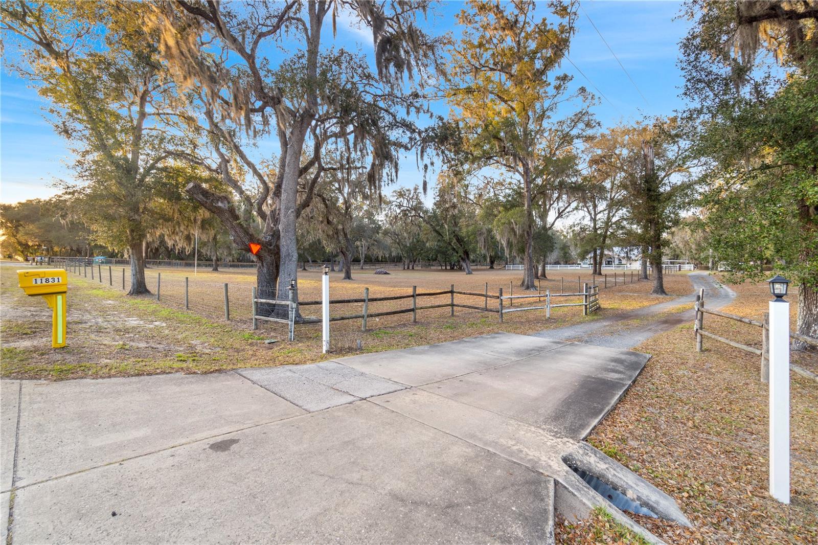 11831 SW HIGHWAY 484