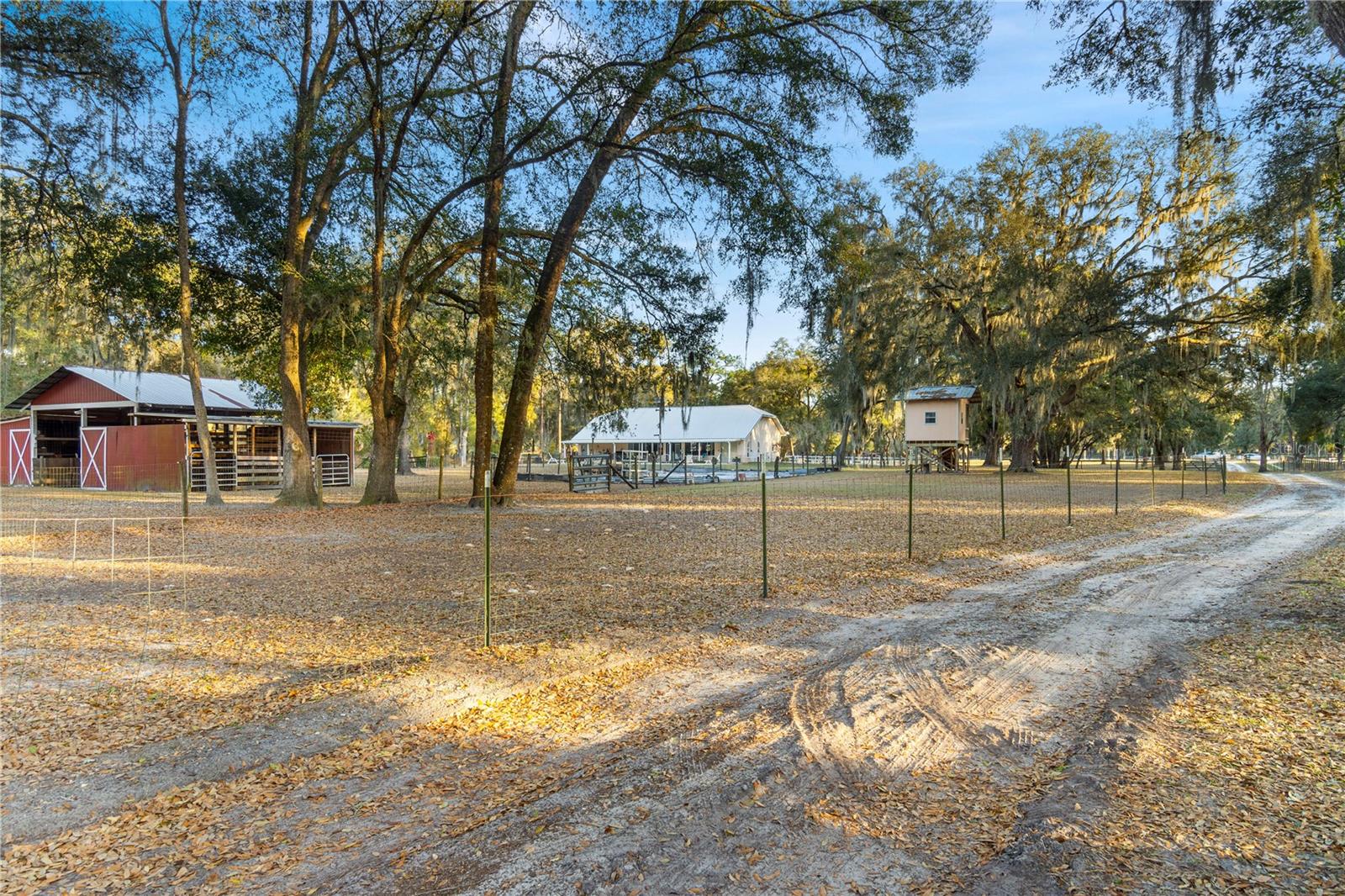 11831 SW HIGHWAY 484