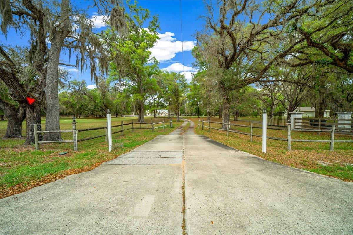 11831 SW HIGHWAY 484