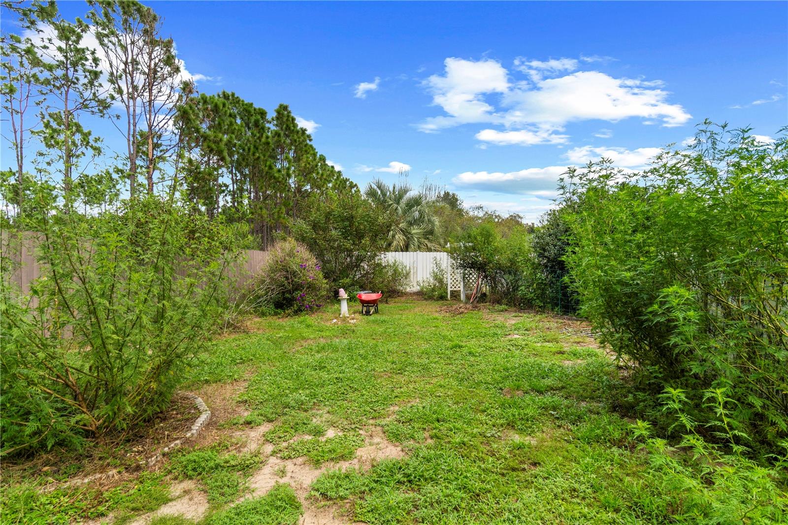 Fenced backyard with a grassy lawn, mature trees, a birdbath, and a red wheelbarrow.
