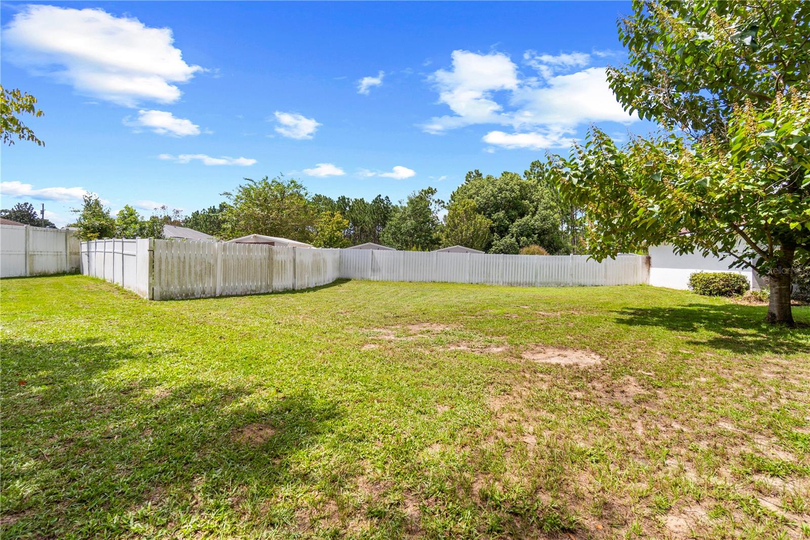 Fenced backyard with a broad grassy lawn and a mature shade tree.