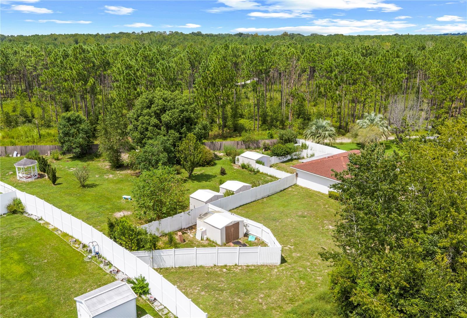 Fenced backyard with several sheds and a gazebo, bordered by dense pine woods.
