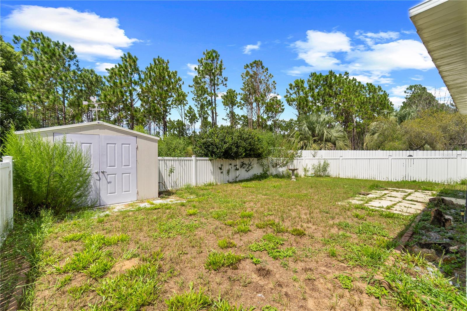 Fenced backyard with a small storage shed, patchy lawn, and tall pine trees.