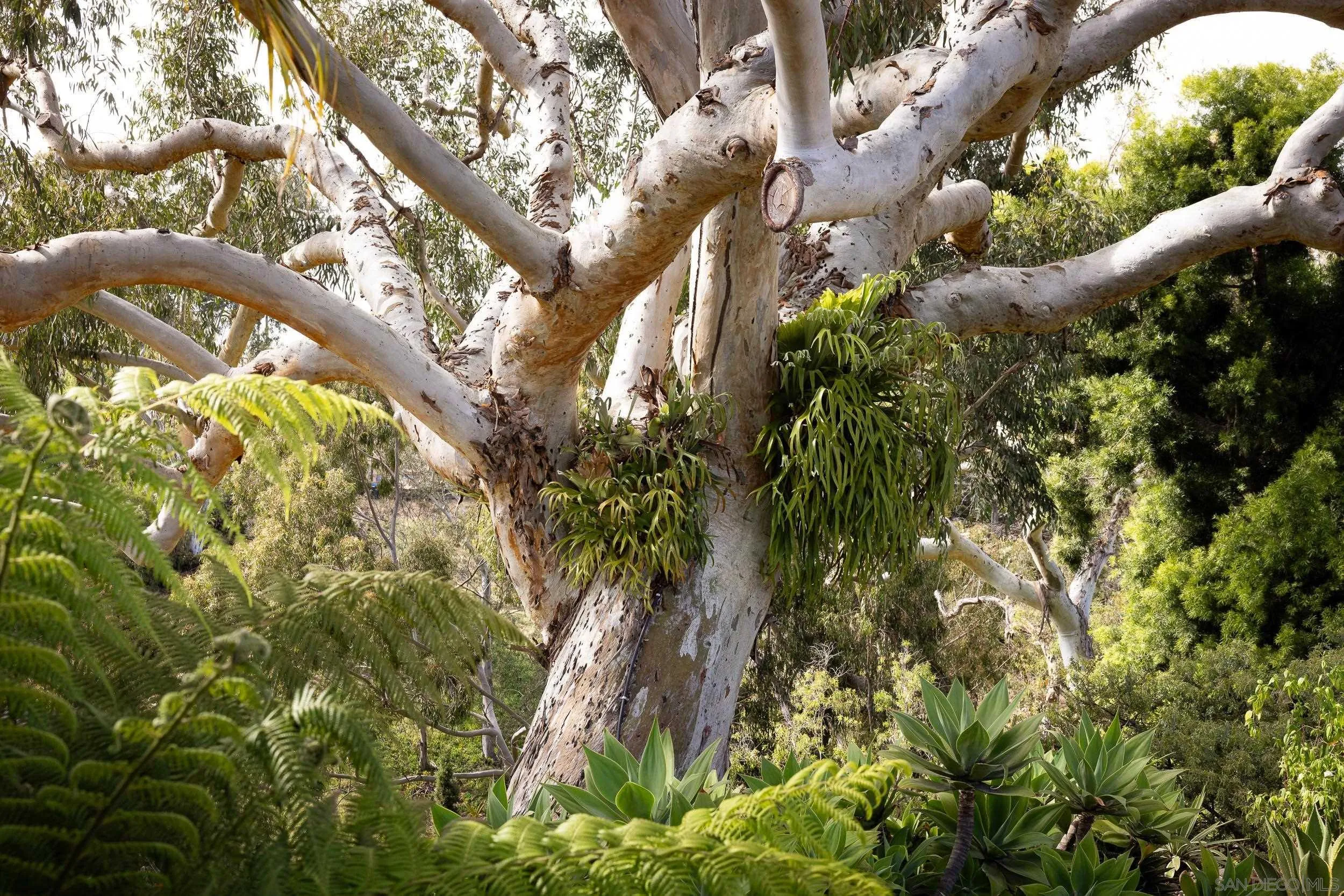 1271 Brookes Terrace