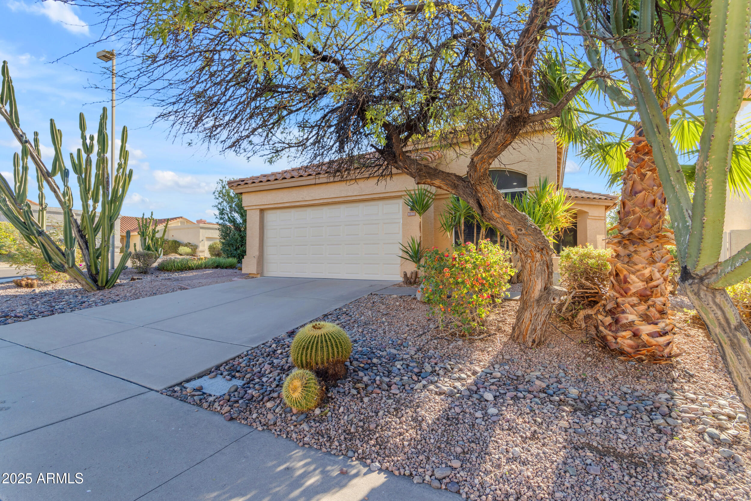 10381 E CELTIC Drive