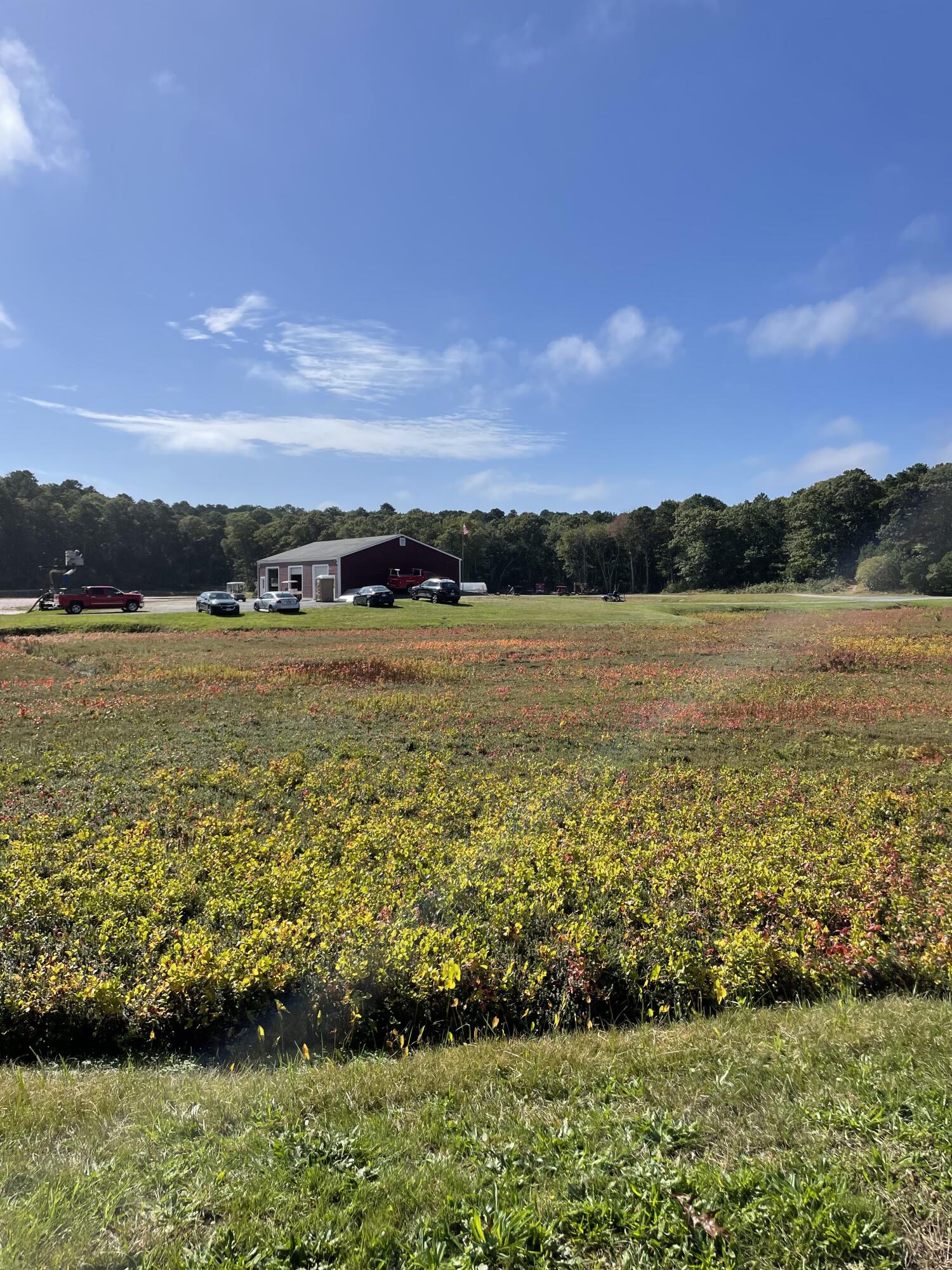 401 Weir Rd Road