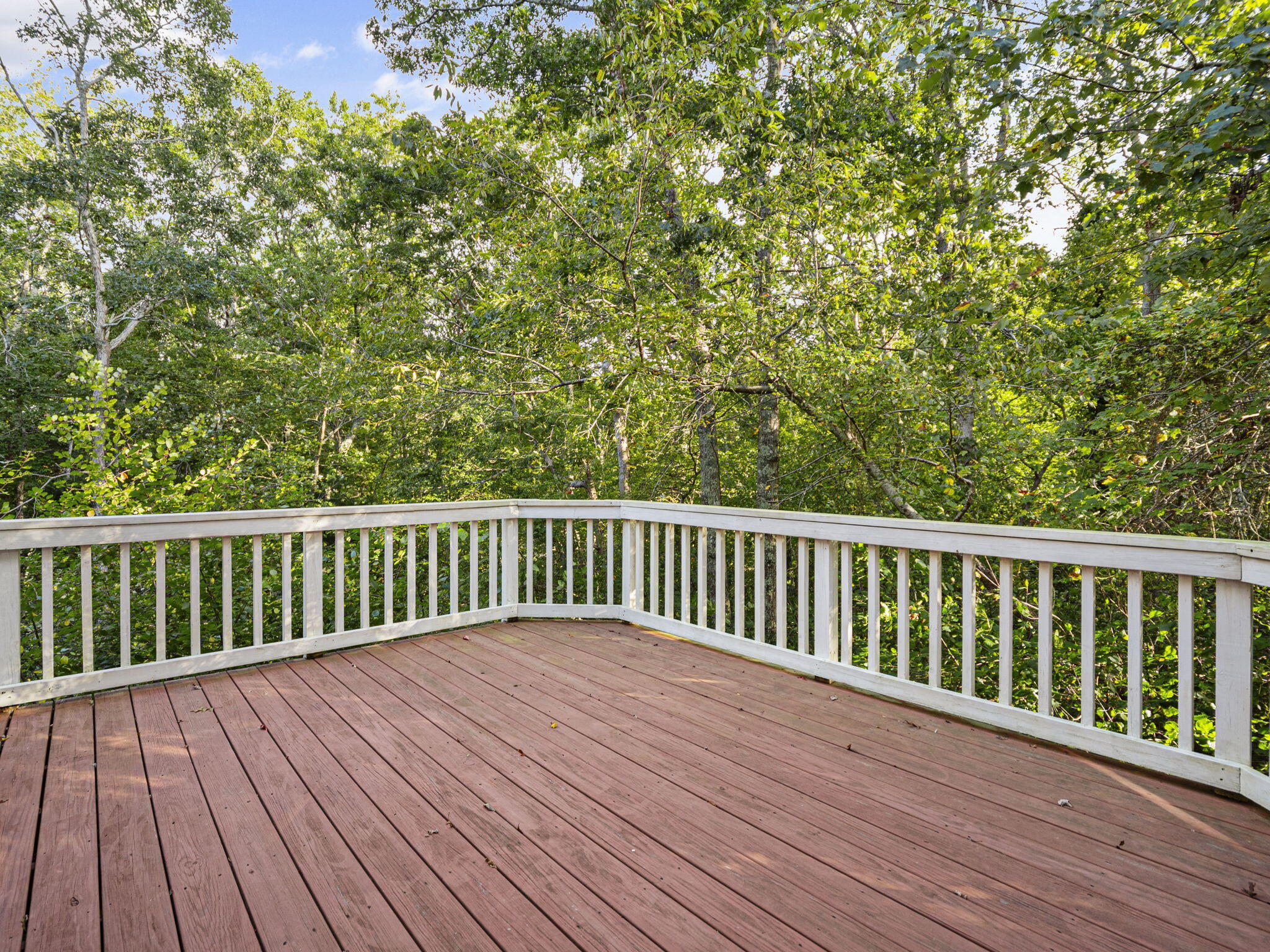 164 Great Hill Dr