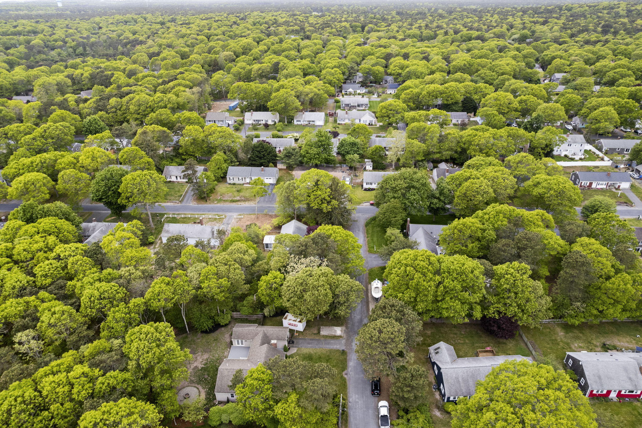 9 Cogswell Path
