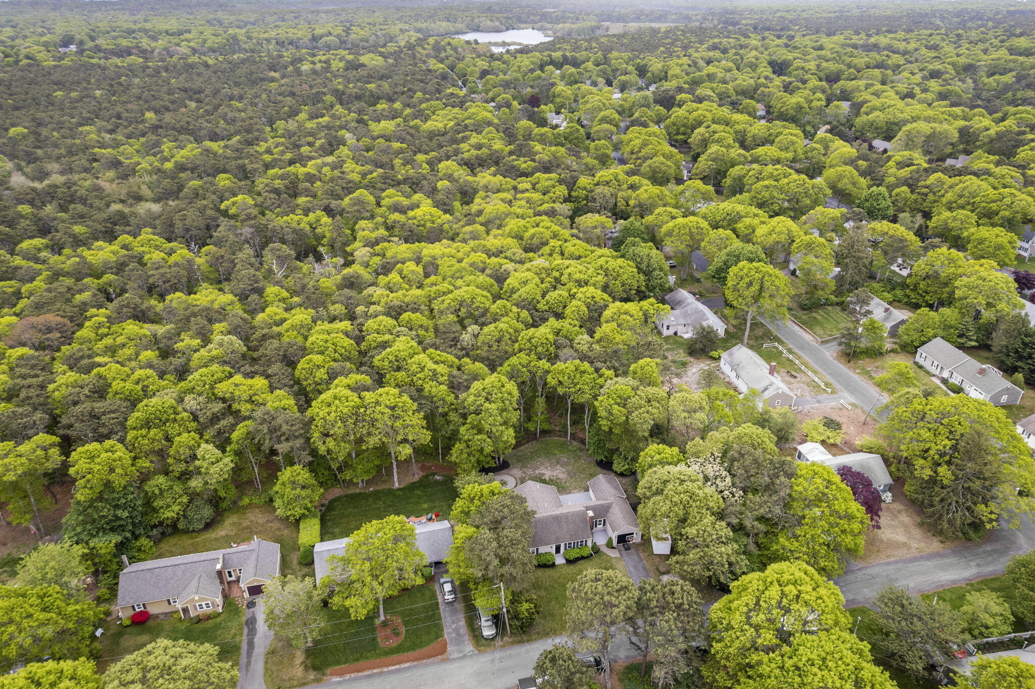 9 Cogswell Path