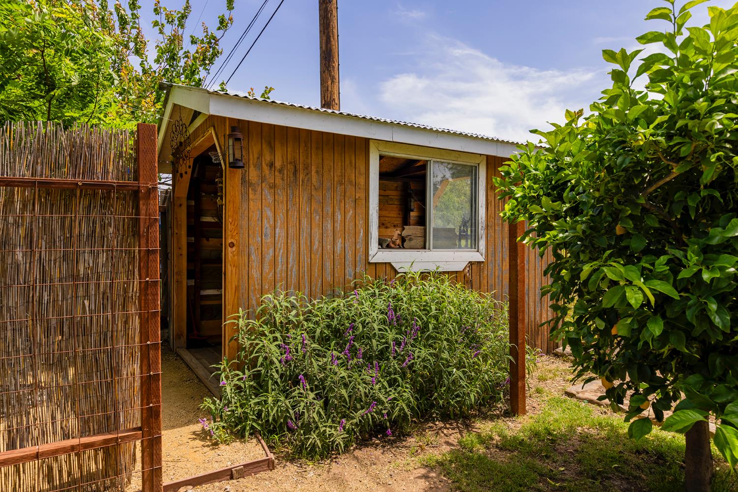 221 El Camino Drive