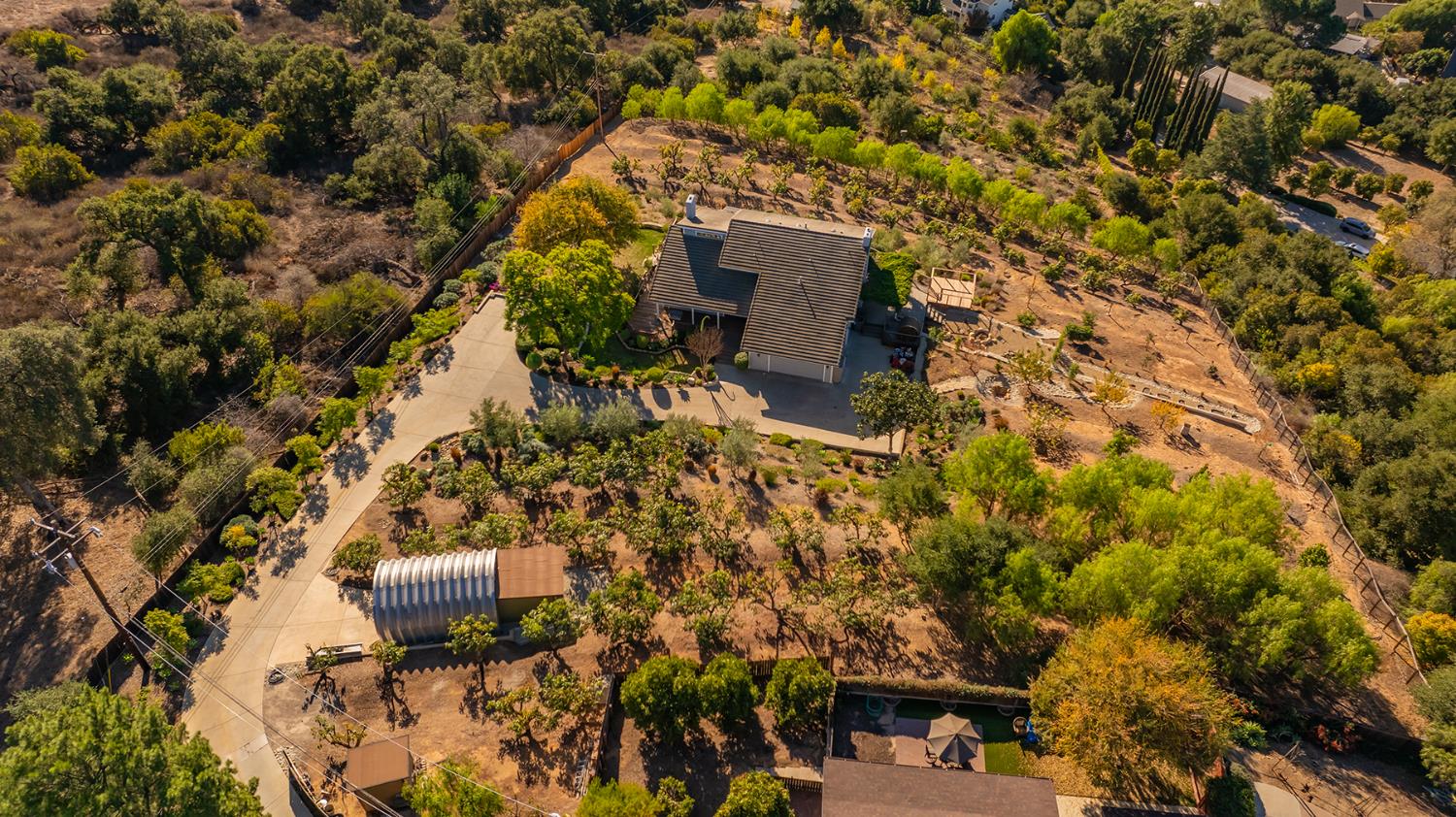 642 Tico Road