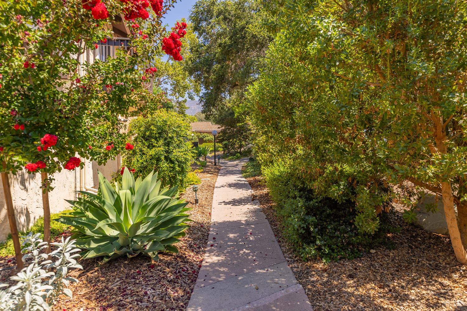 205 Pirie Road 66