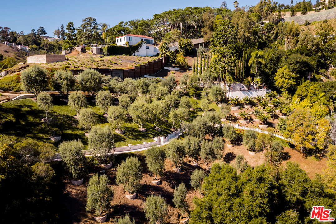 1436 Bella Dr
