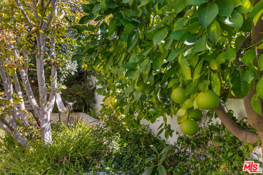 1007 Matilija Rd