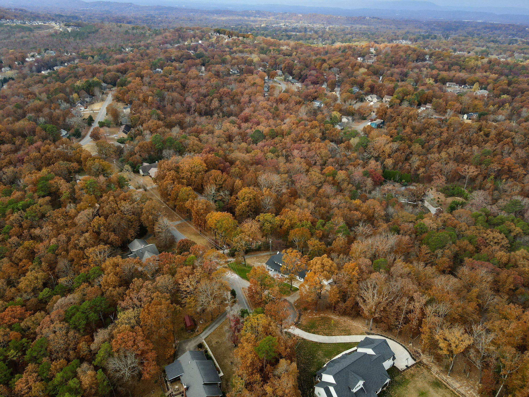 823 Brookhollow Lane