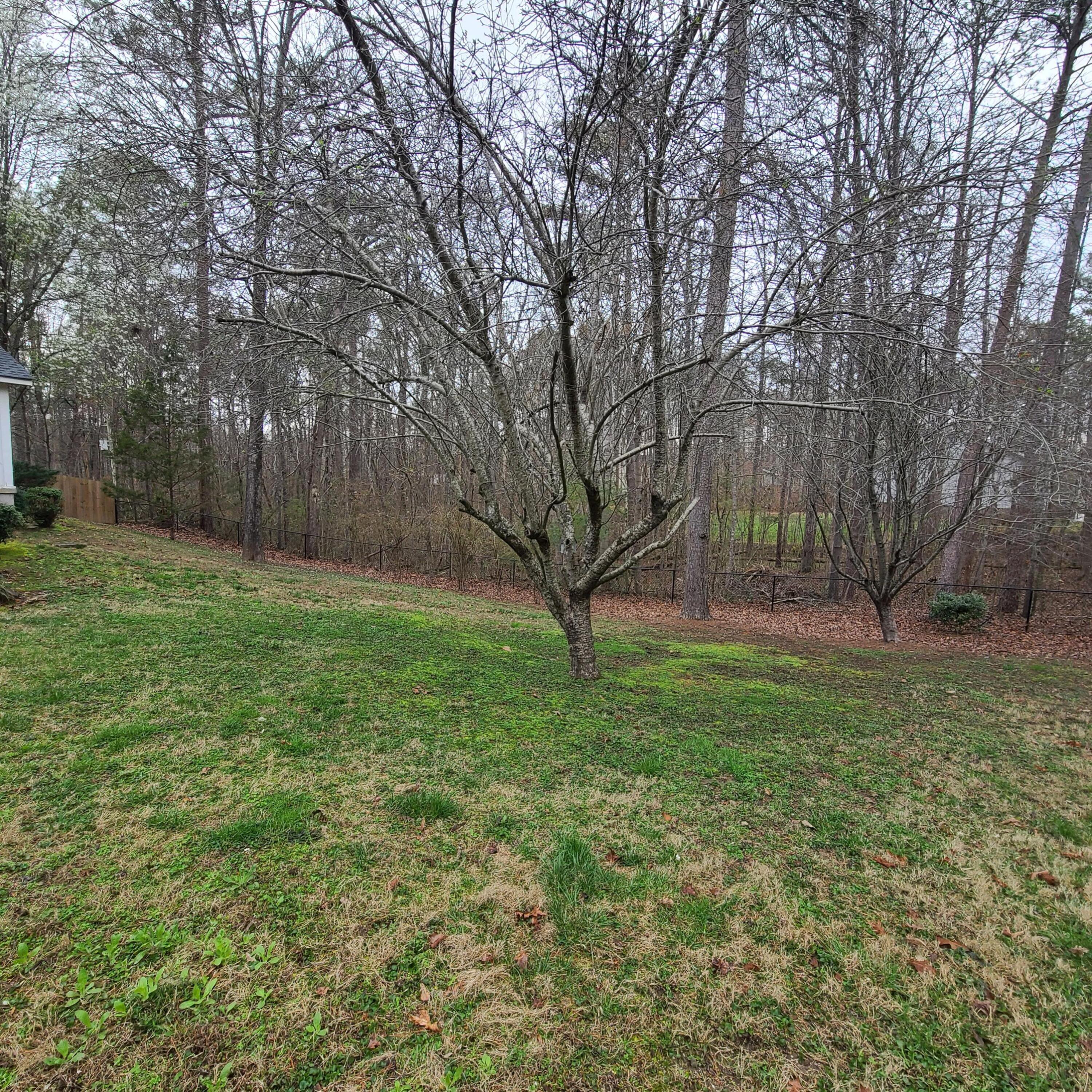 5047 Old Jackson Rd