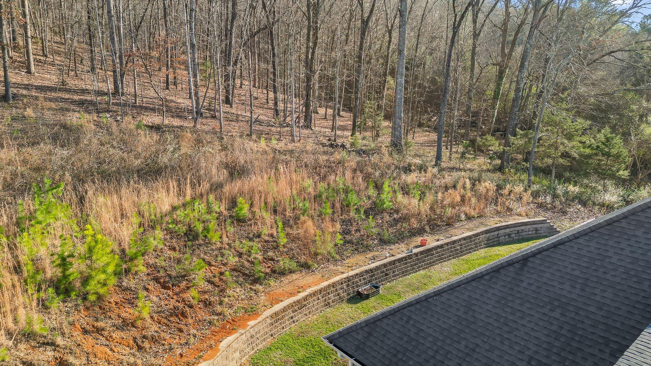68 Buster Ridge Lane