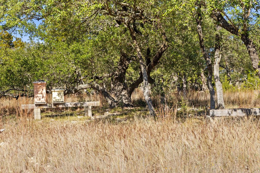 3550 Bell Springs DR