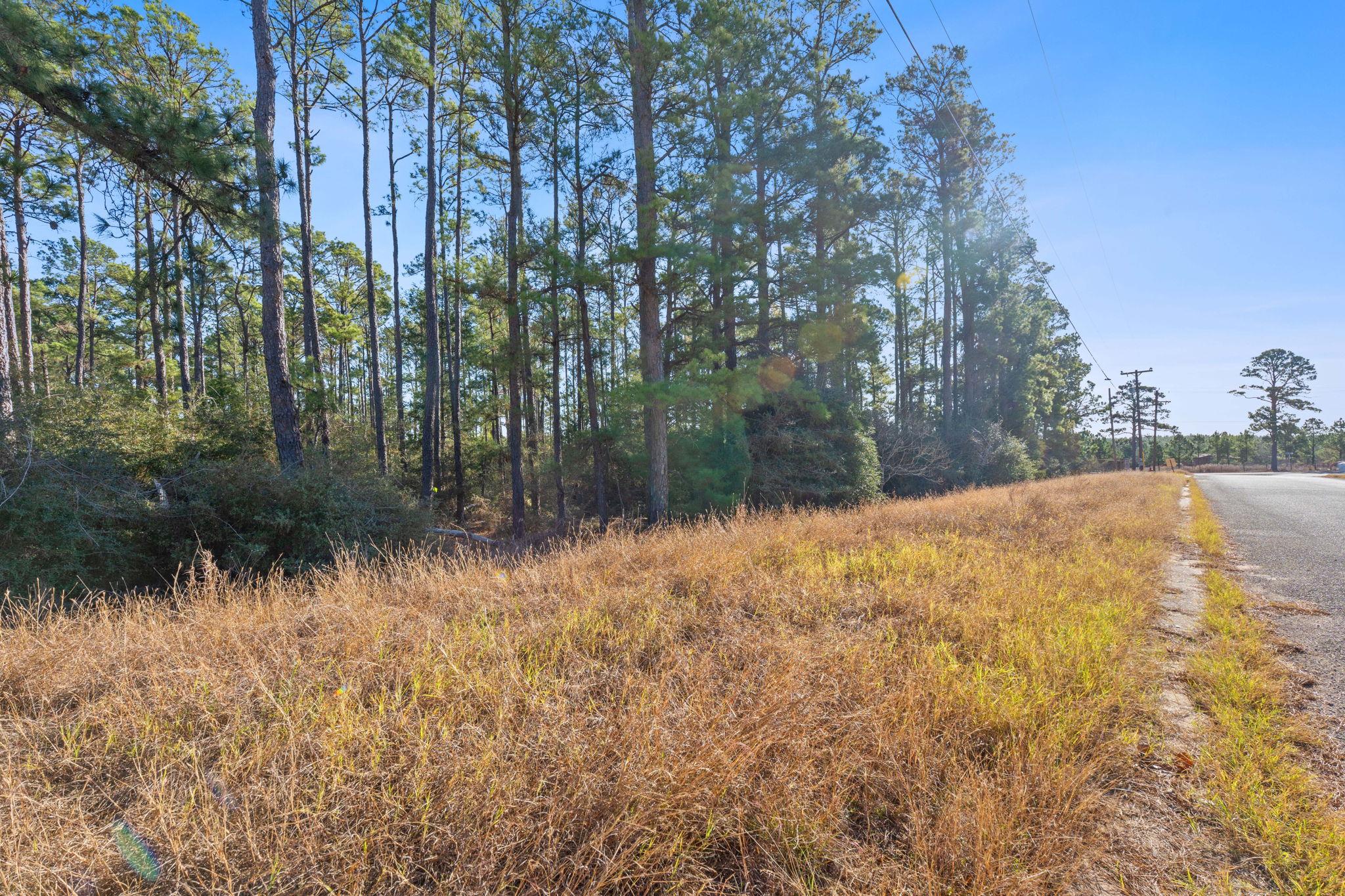 Lot 65 State Highway 21