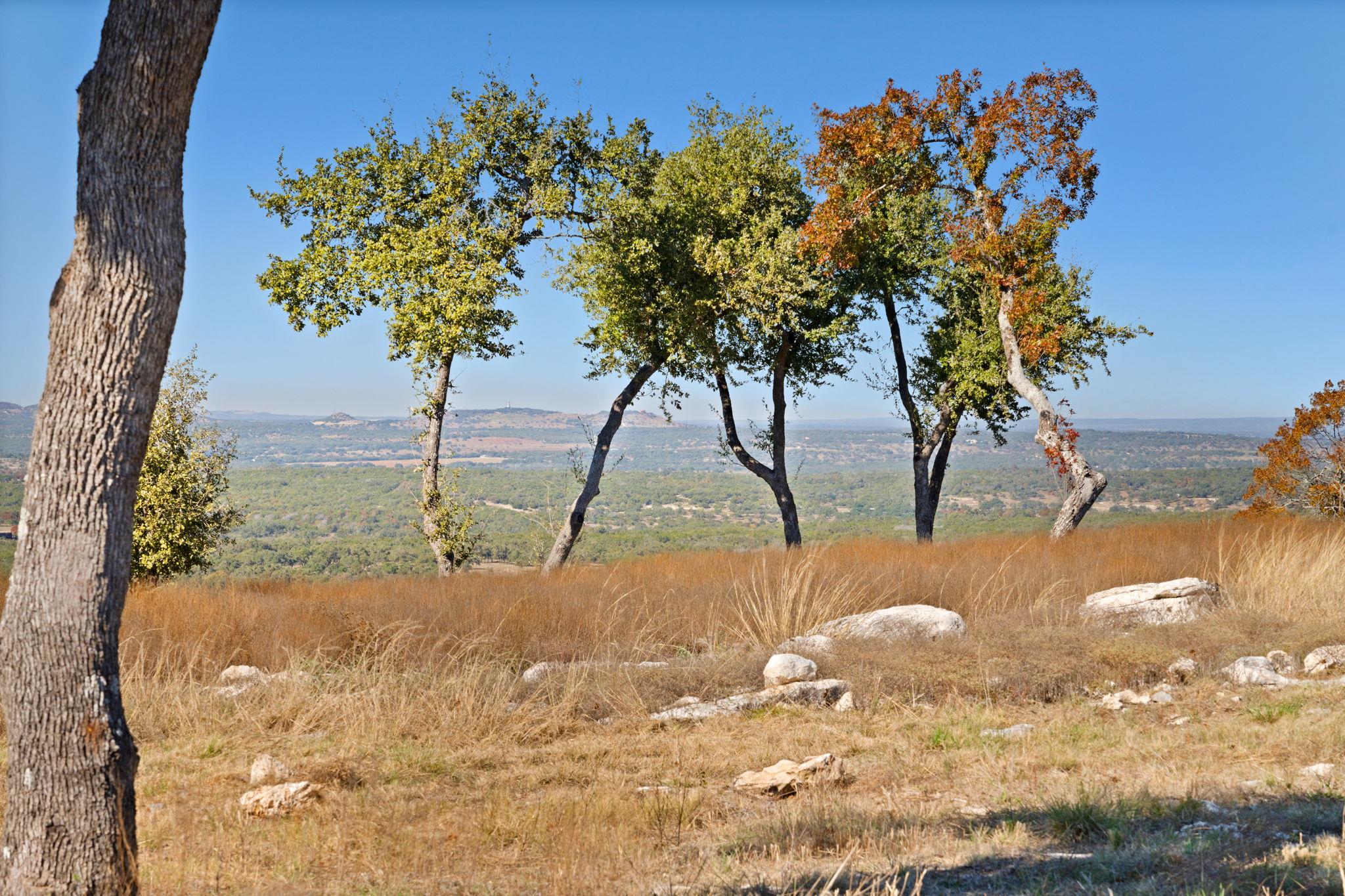 3300 FM 165 - Lot 13A