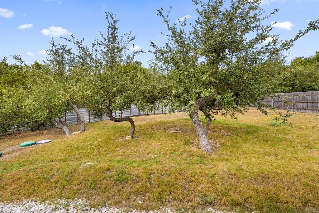 10006 George Hill DR, Dripping Springs