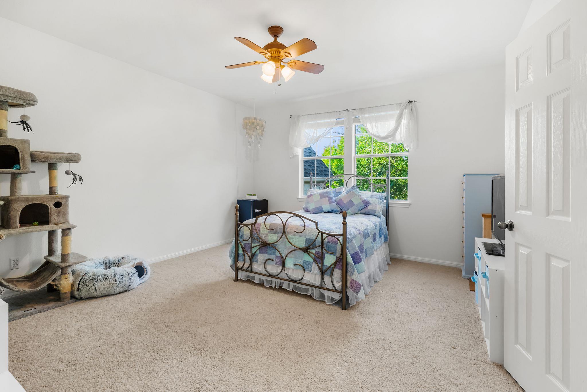 3205 Wild Canyon LOOP