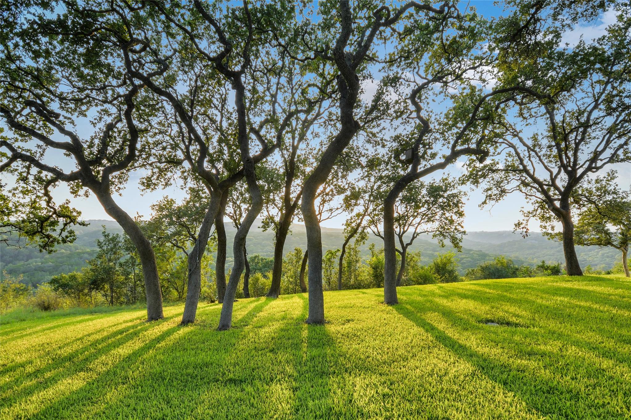 2200 CERCA VIEJO WAY