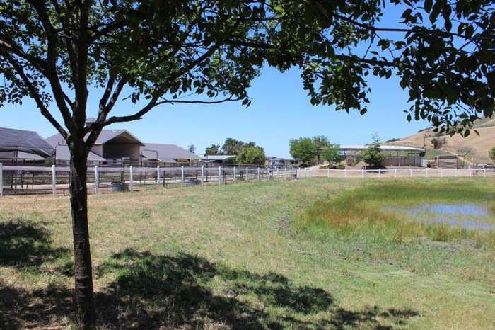 350 San Benancio Road