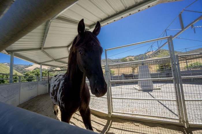 350 San Benancio Road