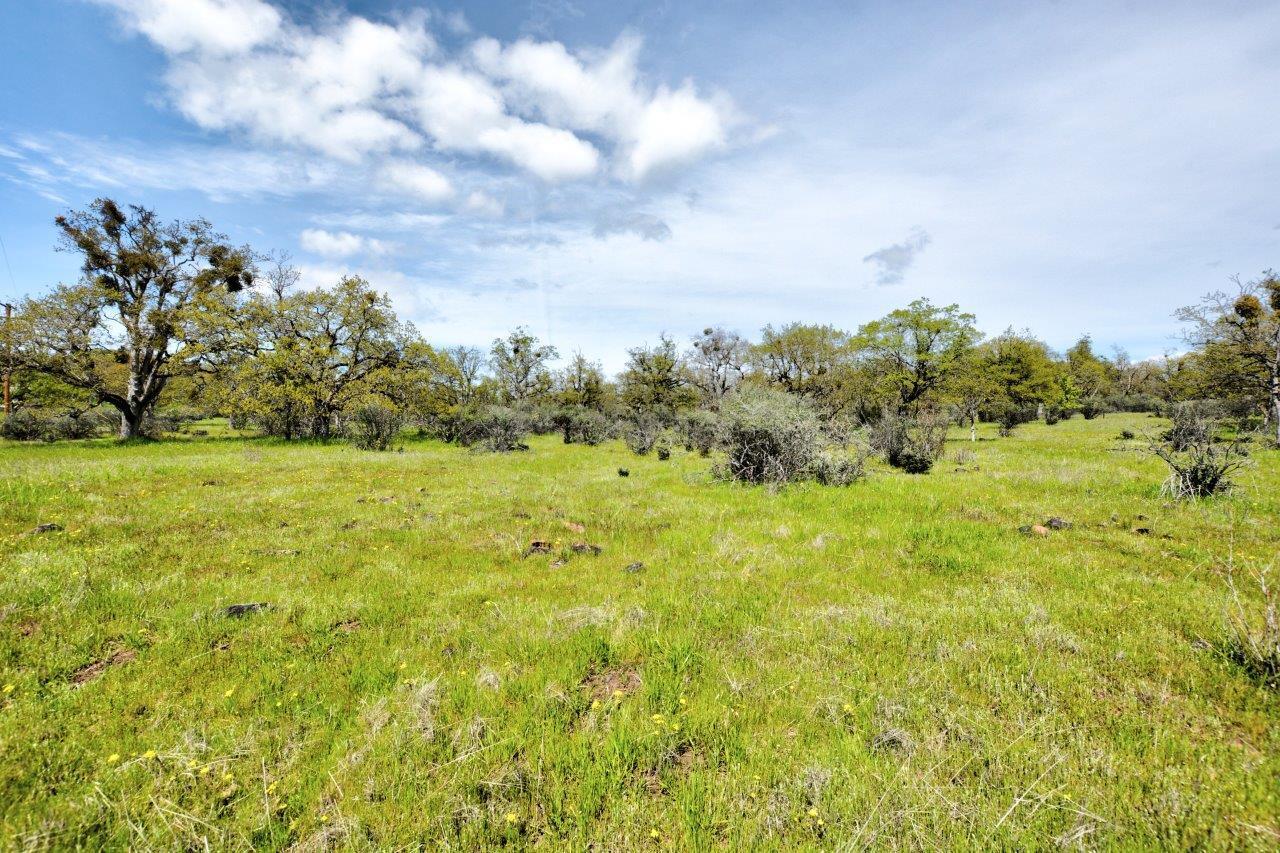 2060 Highway 234
