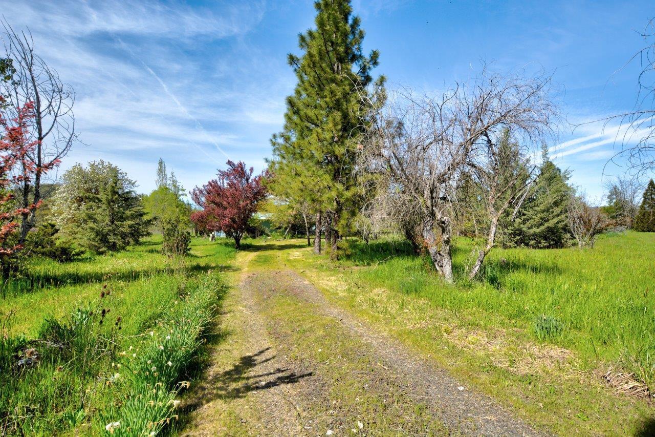 2060 Highway 234