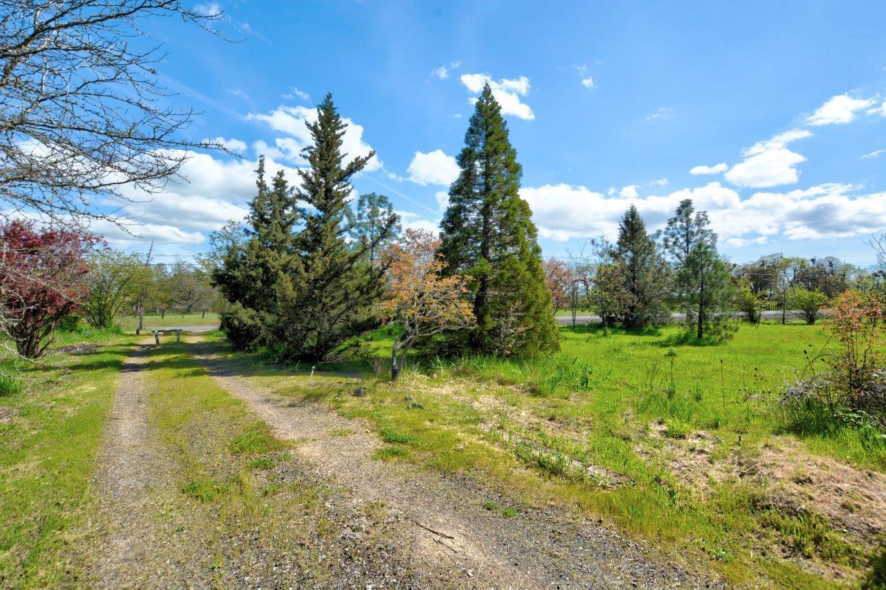 2060 Highway 234
