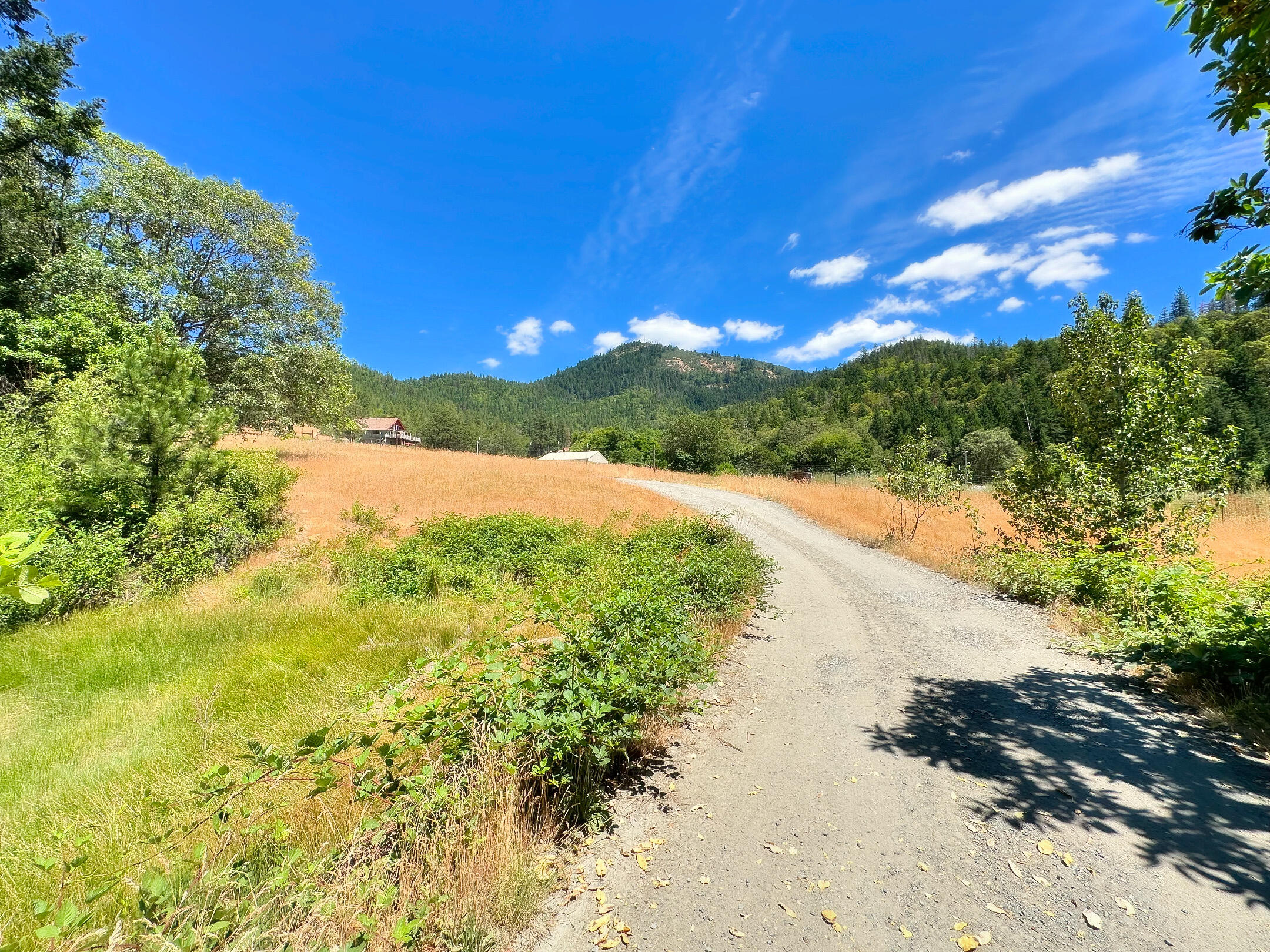 4430 Humbug Creek Road