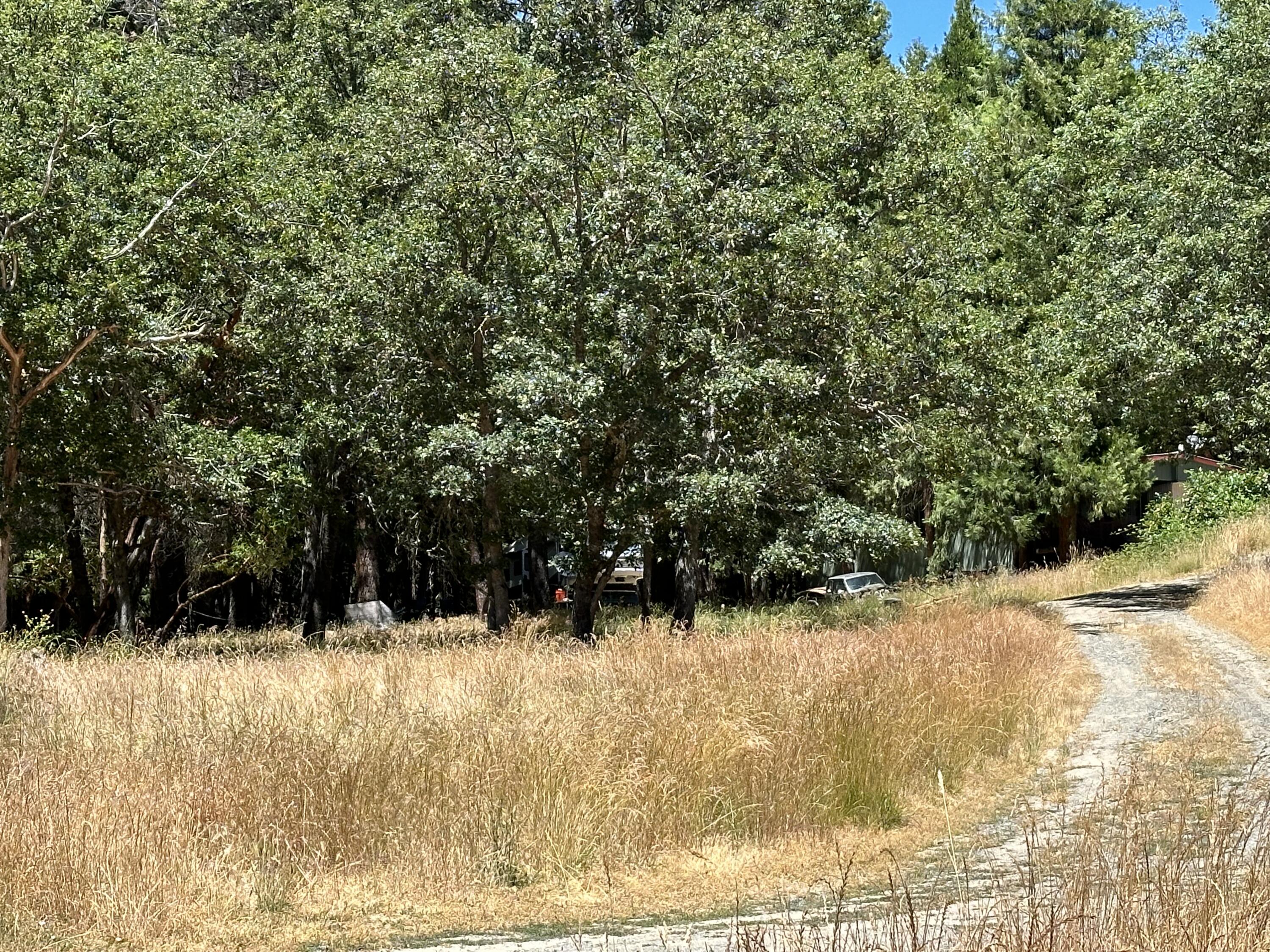 4420 Humbug Creek Road