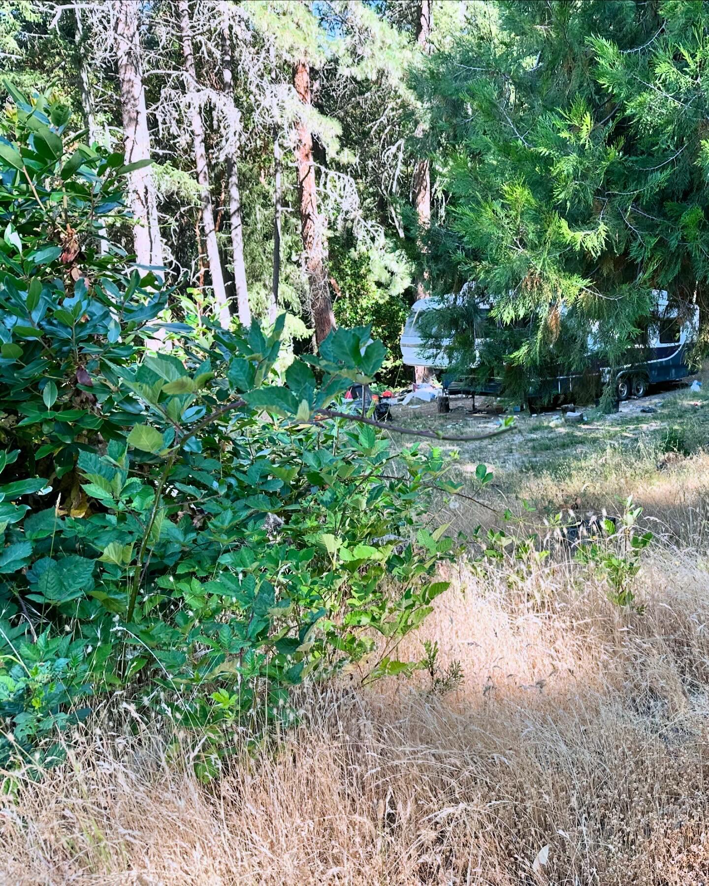 4420 Humbug Creek Road