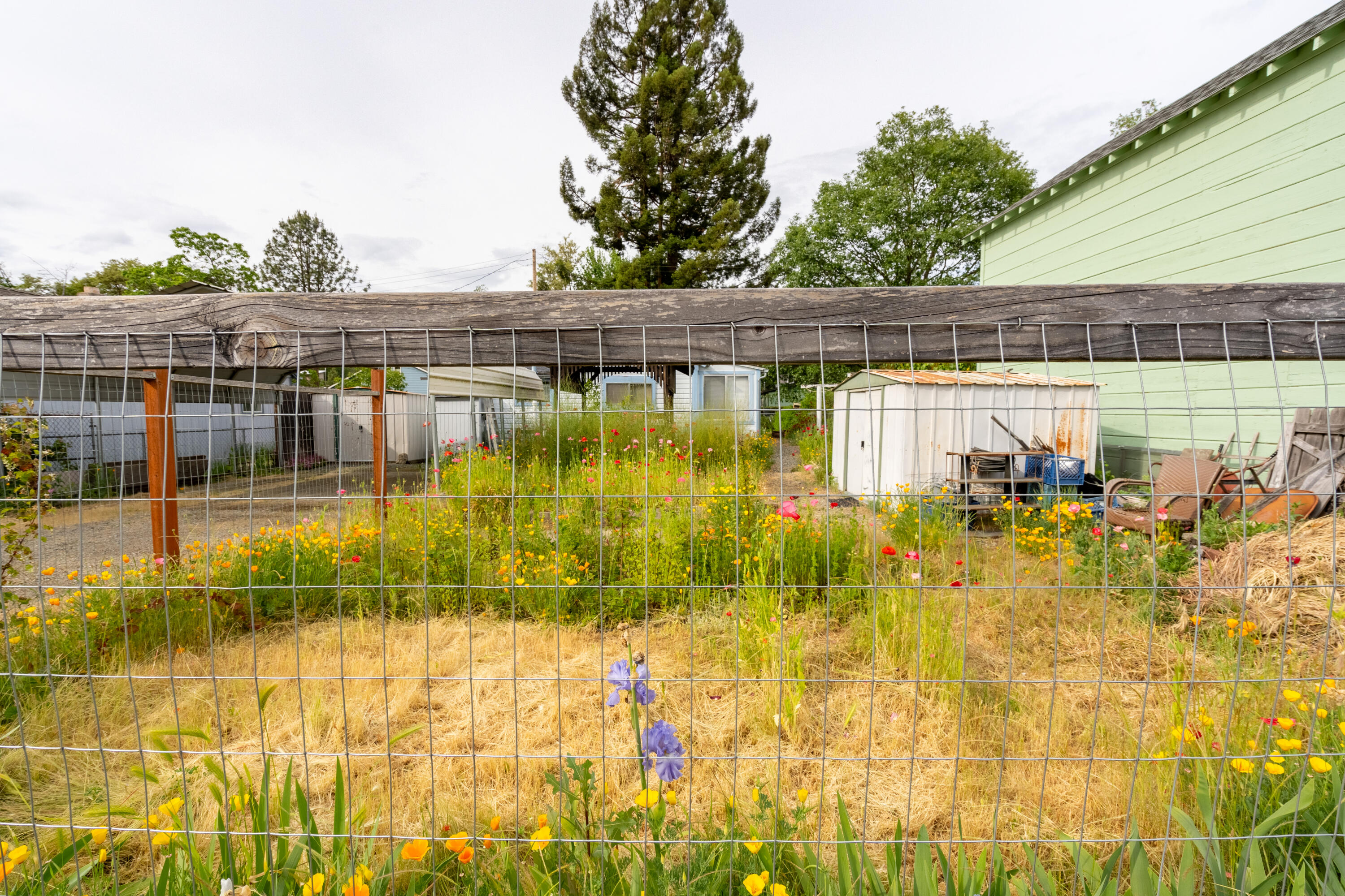 1007 SW Isham Street