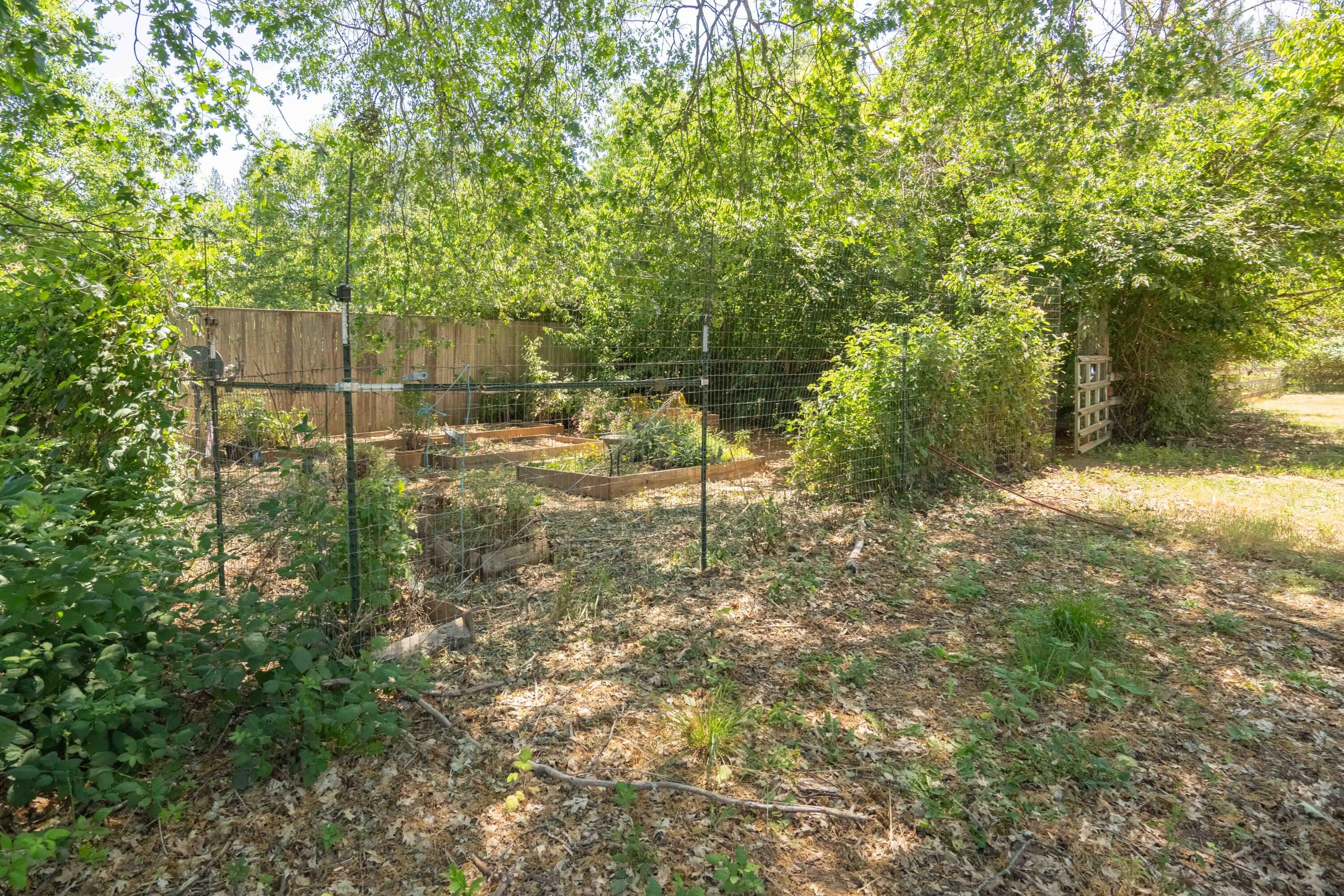 244 Griffin Road