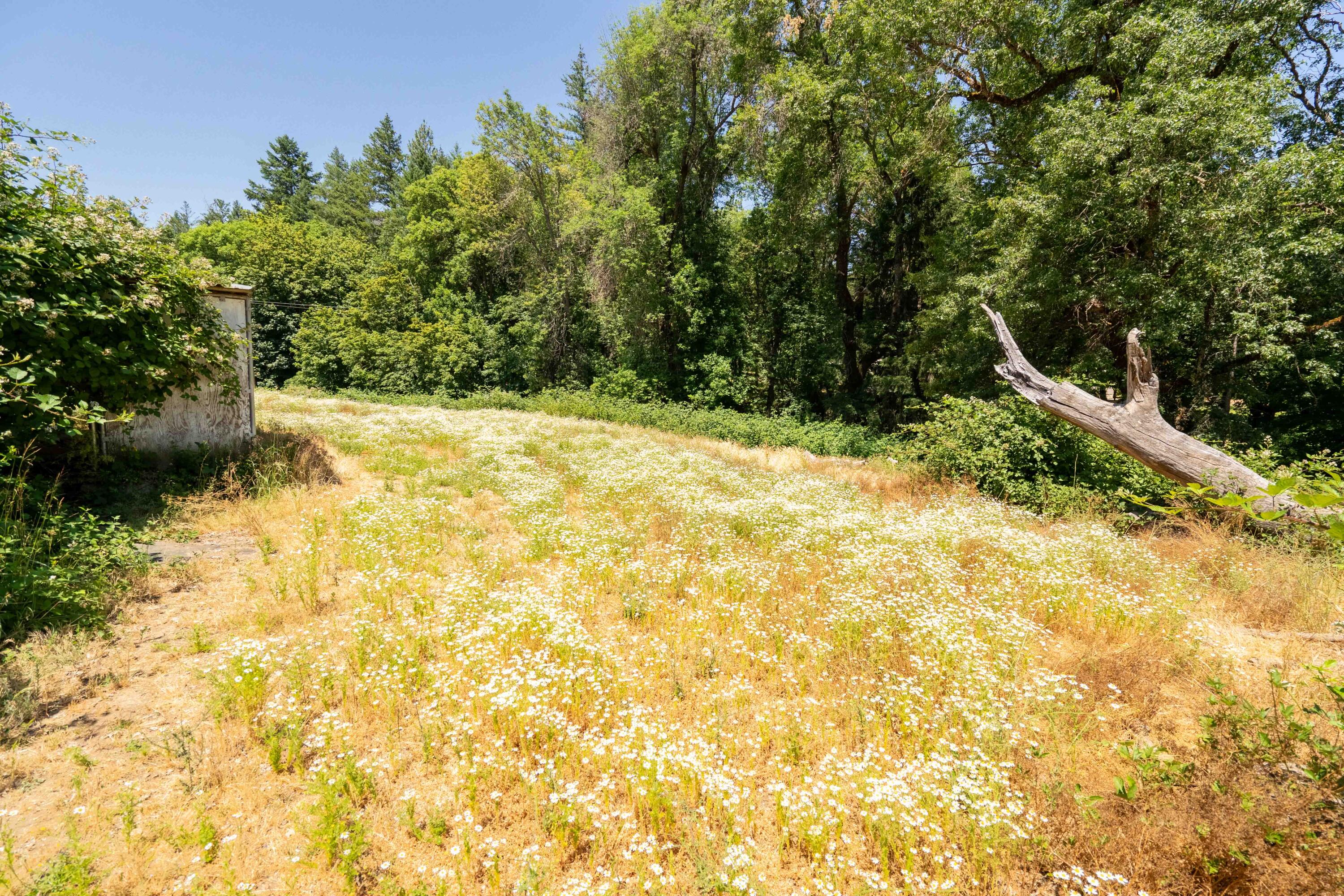 244 Griffin Road
