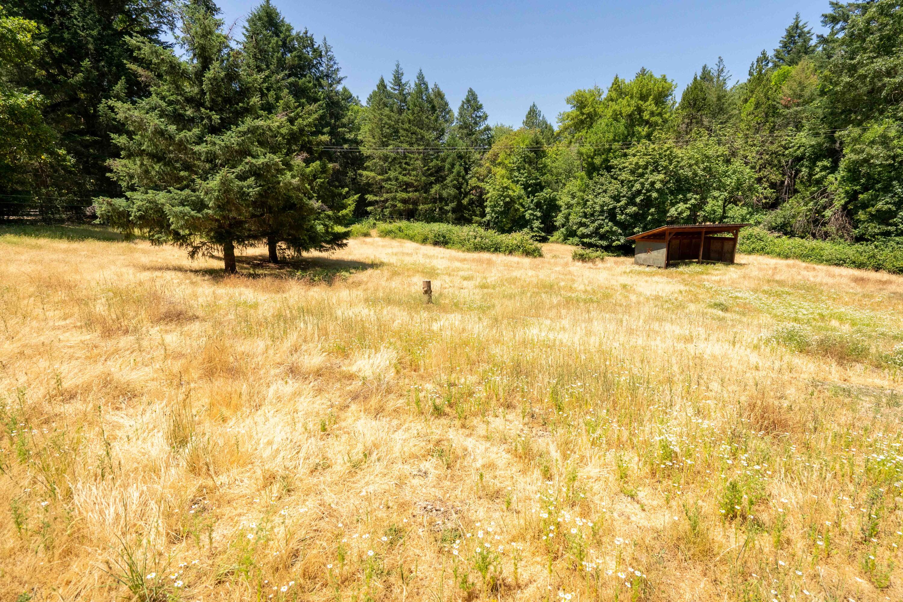 244 Griffin Road