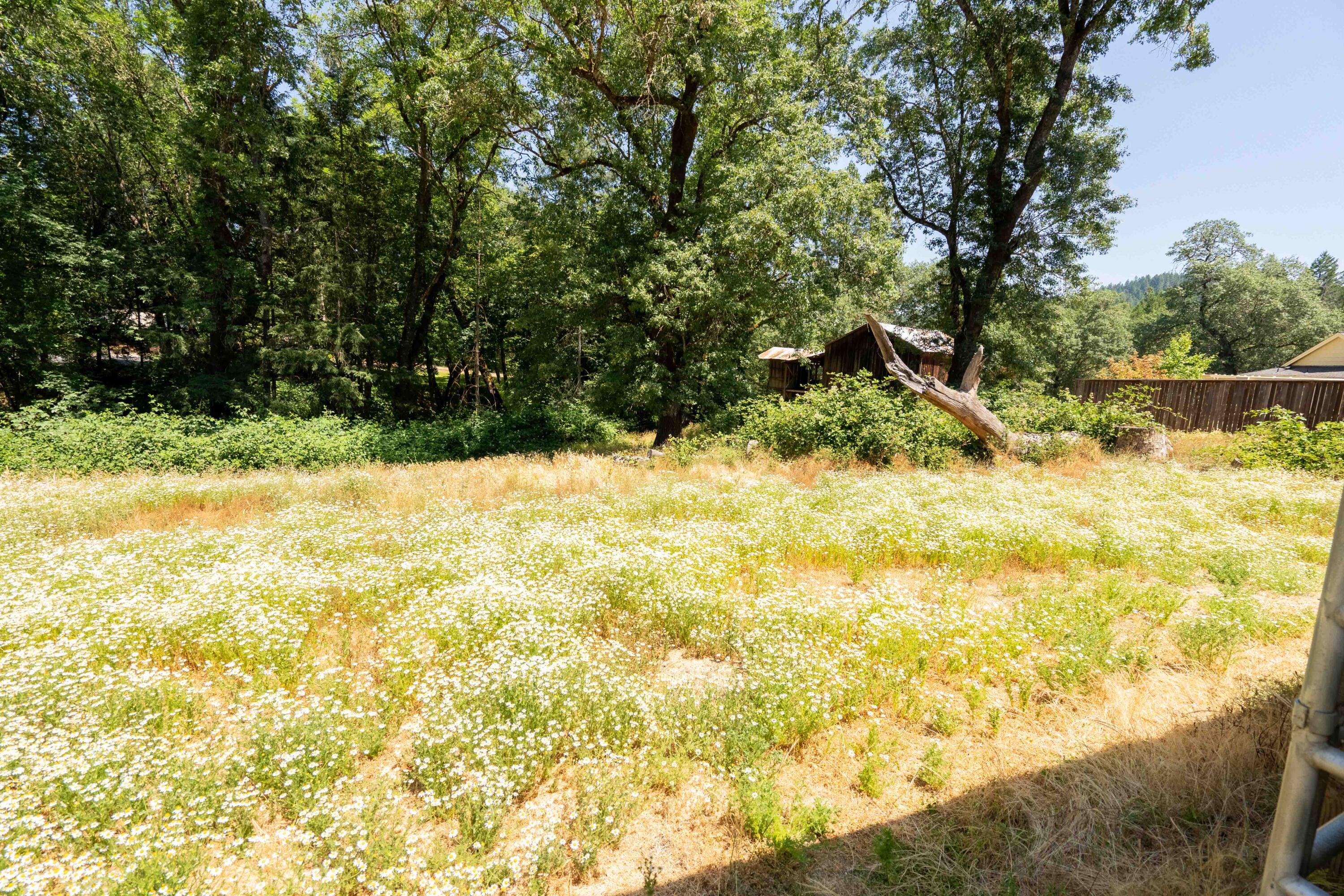 244 Griffin Road