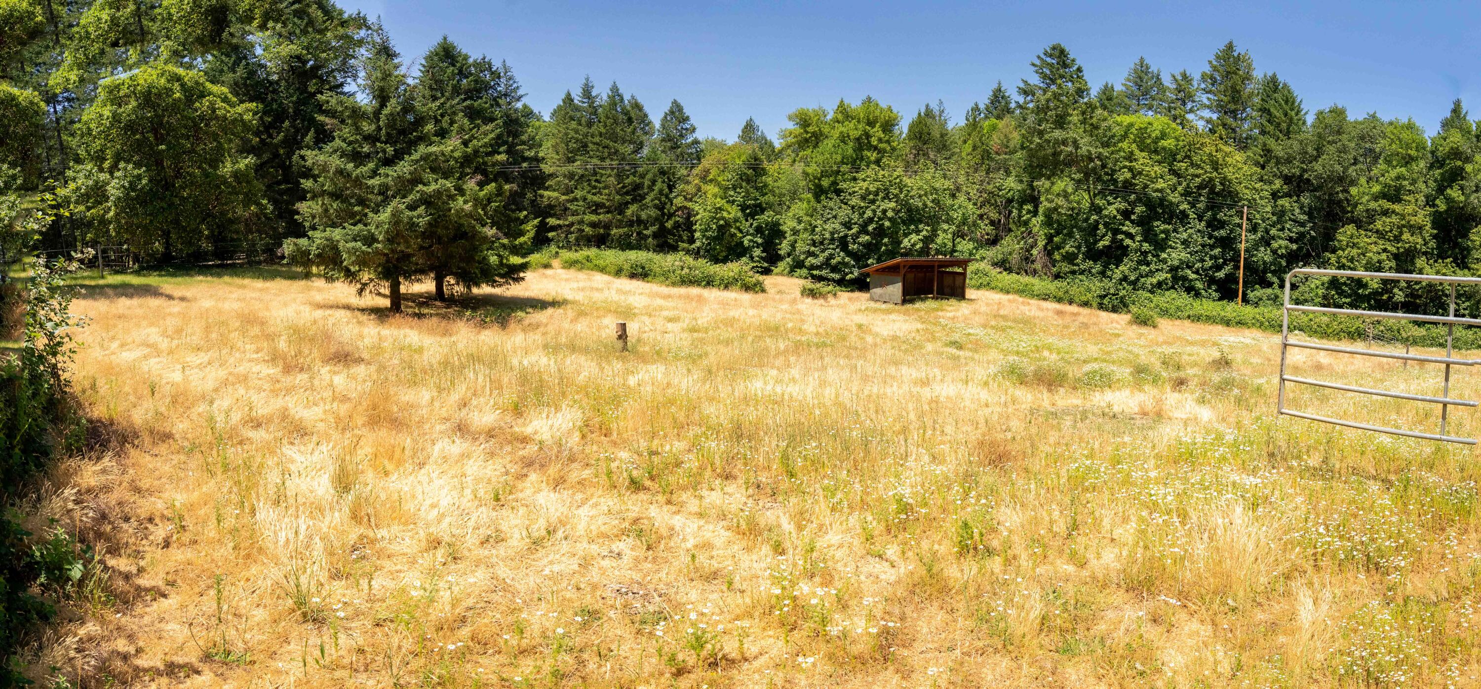 244 Griffin Road