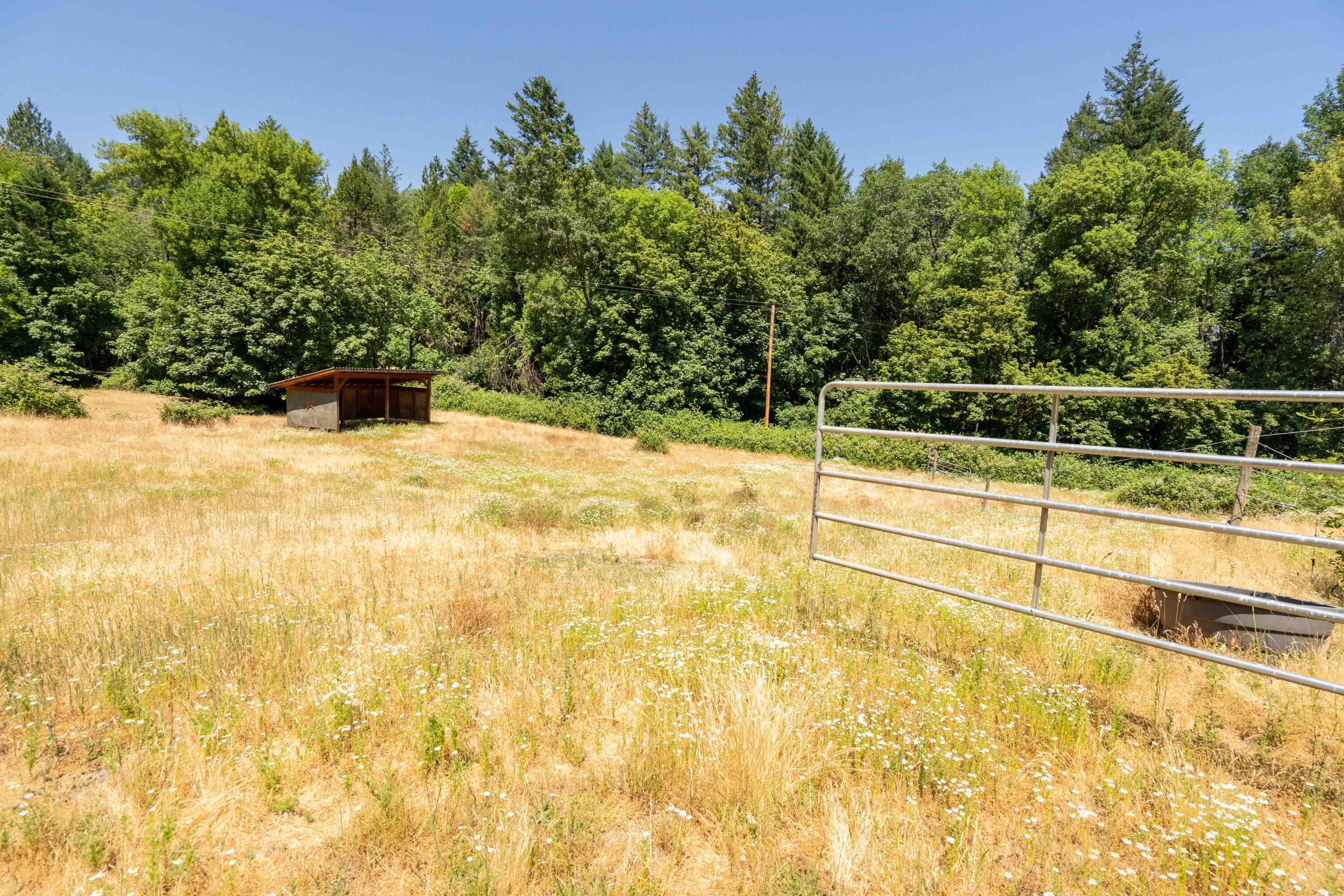 244 Griffin Road