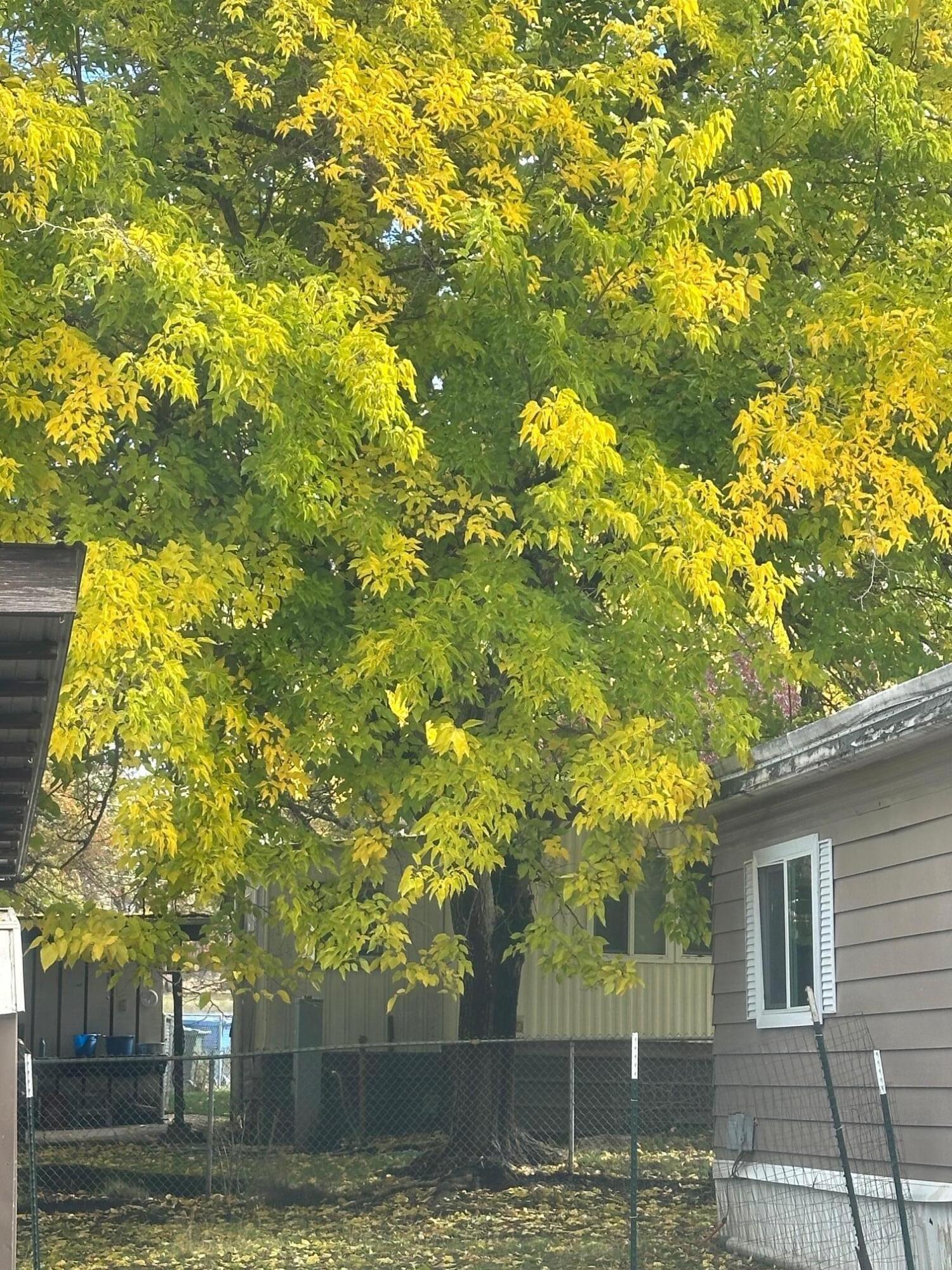 421 Stevens Road, 52