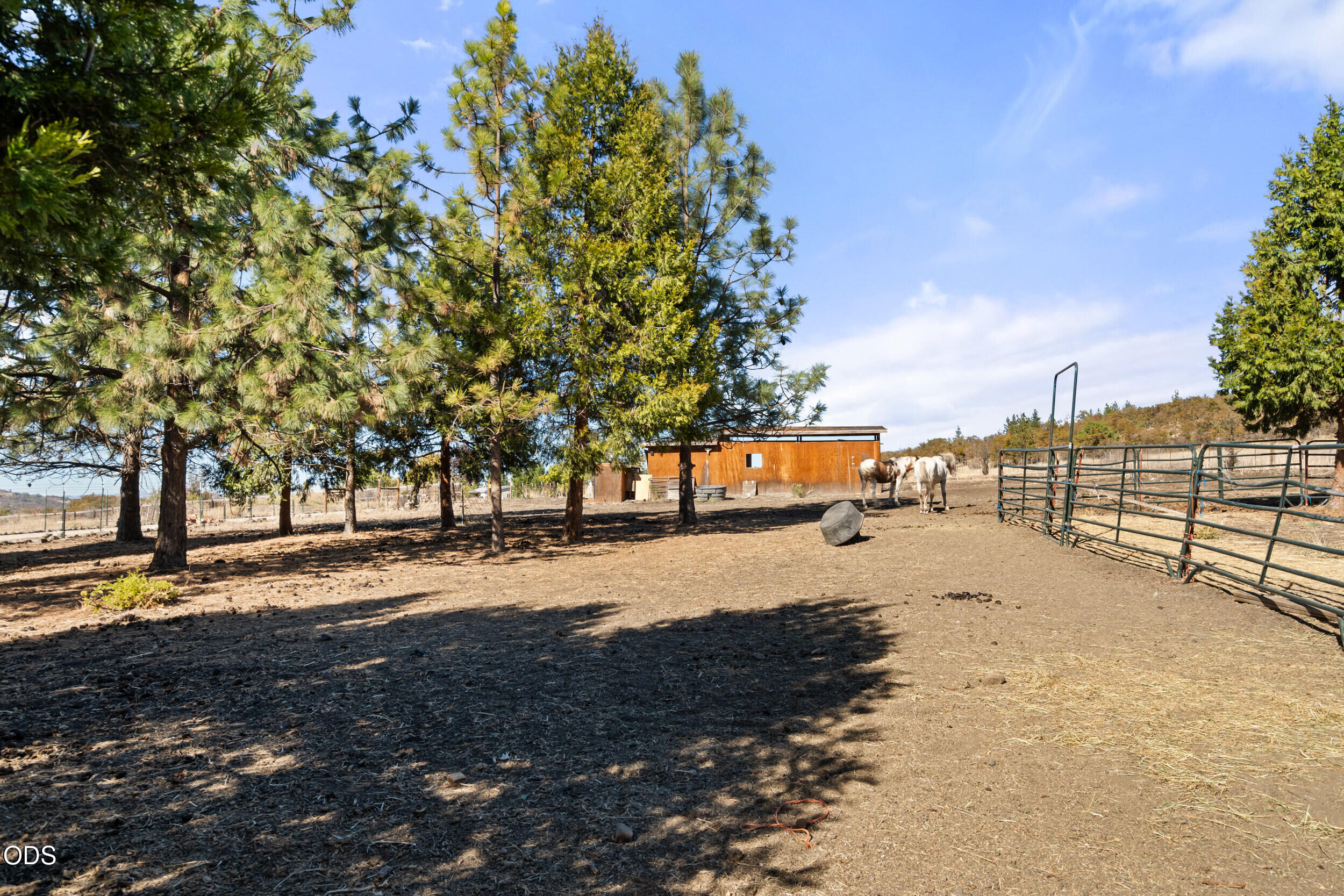 585 Craiglea Drive